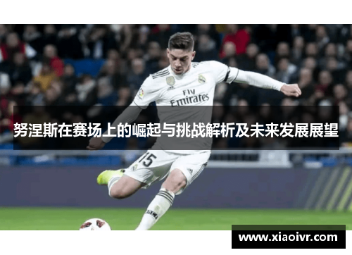 努涅斯在赛场上的崛起与挑战解析及未来发展展望