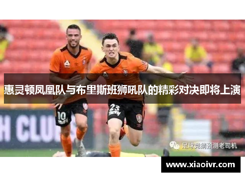 惠灵顿凤凰队与布里斯班狮吼队的精彩对决即将上演